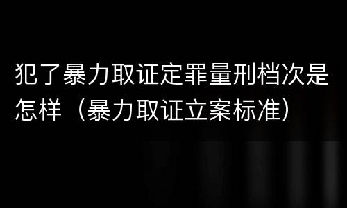 犯了暴力取证定罪量刑档次是怎样（暴力取证立案标准）