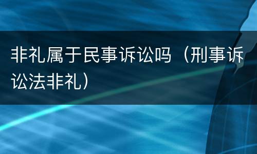 非礼属于民事诉讼吗（刑事诉讼法非礼）