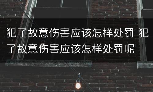 犯了故意伤害应该怎样处罚 犯了故意伤害应该怎样处罚呢