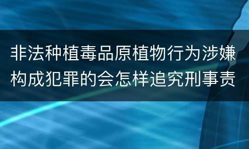 非法种植毒品原植物行为涉嫌构成犯罪的会怎样追究刑事责任