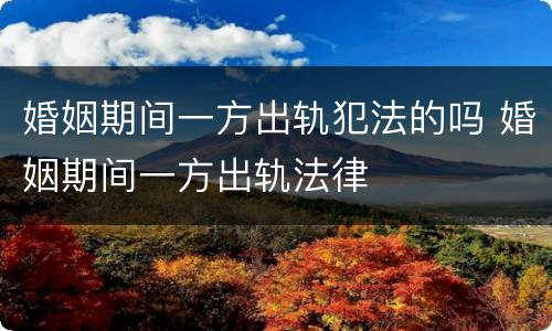 婚姻期间一方出轨犯法的吗 婚姻期间一方出轨法律