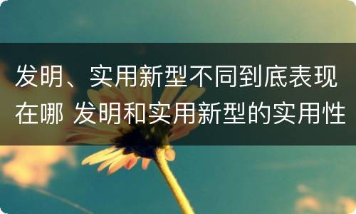 发明、实用新型不同到底表现在哪 发明和实用新型的实用性