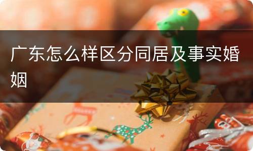 广东怎么样区分同居及事实婚姻