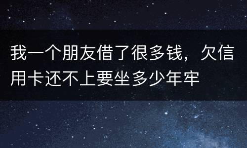我一个朋友借了很多钱，欠信用卡还不上要坐多少年牢