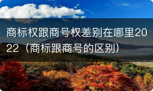 商标权跟商号权差别在哪里2022（商标跟商号的区别）