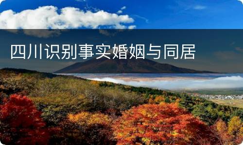 四川识别事实婚姻与同居