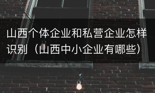 山西个体企业和私营企业怎样识别（山西中小企业有哪些）