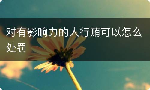 对有影响力的人行贿可以怎么处罚