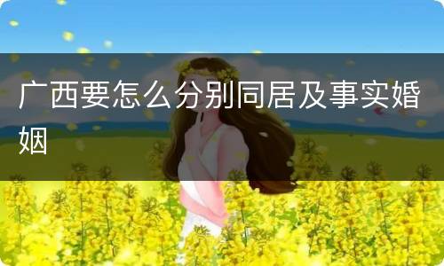 广西要怎么分别同居及事实婚姻