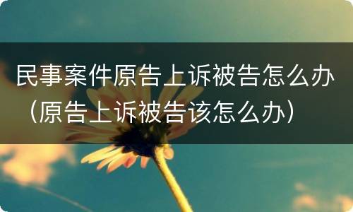 民事案件原告上诉被告怎么办（原告上诉被告该怎么办）