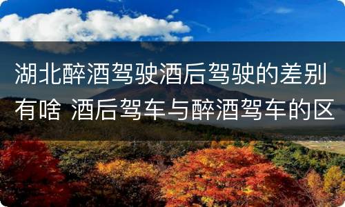 湖北醉酒驾驶酒后驾驶的差别有啥 酒后驾车与醉酒驾车的区别