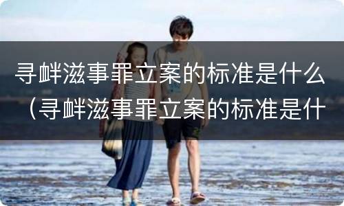 寻衅滋事罪立案的标准是什么（寻衅滋事罪立案的标准是什么呢）