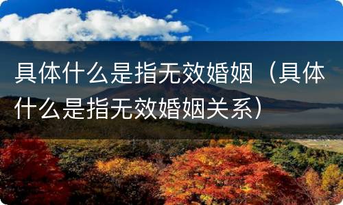 具体什么是指无效婚姻（具体什么是指无效婚姻关系）