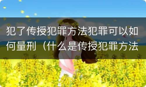 犯了传授犯罪方法犯罪可以如何量刑（什么是传授犯罪方法罪）