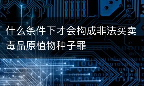 什么条件下才会构成非法买卖毒品原植物种子罪