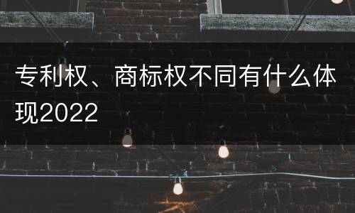 专利权、商标权不同有什么体现2022