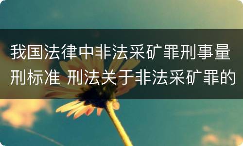 我国法律中非法采矿罪刑事量刑标准 刑法关于非法采矿罪的规定