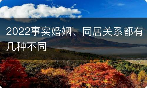 2022事实婚姻、同居关系都有几种不同