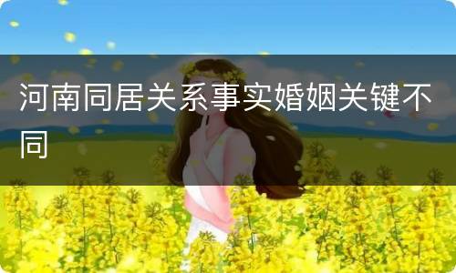 河南同居关系事实婚姻关键不同