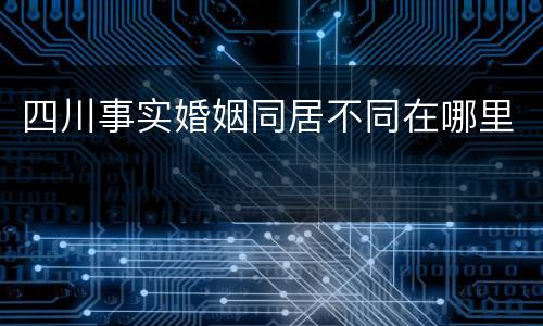 四川事实婚姻同居不同在哪里