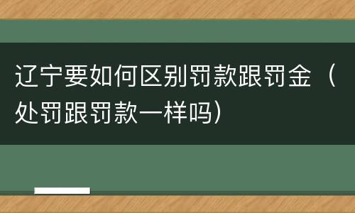 辽宁要如何区别罚款跟罚金（处罚跟罚款一样吗）
