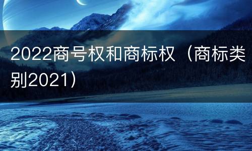 2022商号权和商标权（商标类别2021）