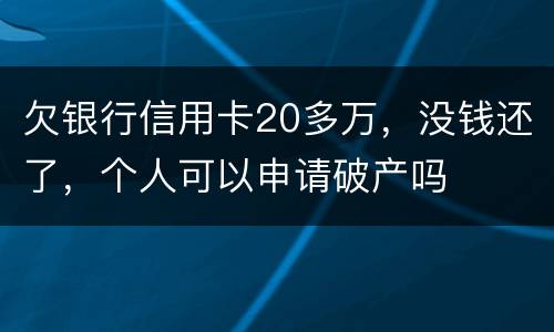 欠银行信用卡20多万，没钱还了，个人可以申请破产吗