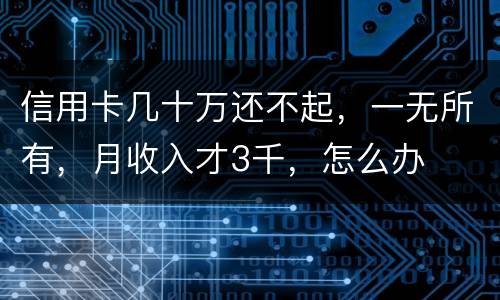 信用卡几十万还不起，一无所有，月收入才3千，怎么办