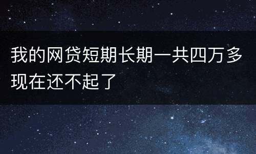 我的网贷短期长期一共四万多现在还不起了
