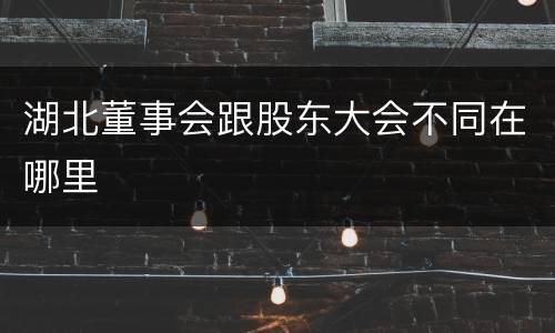 湖北董事会跟股东大会不同在哪里