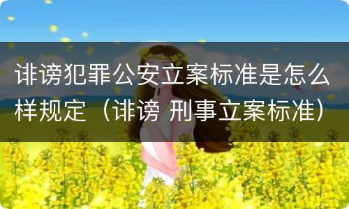 诽谤犯罪公安立案标准是怎么样规定（诽谤 刑事立案标准）