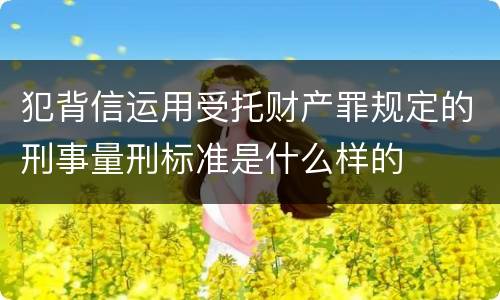 犯背信运用受托财产罪规定的刑事量刑标准是什么样的