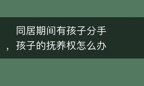 　同居期间有孩子分手，孩子的抚养权怎么办