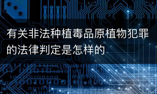 有关非法种植毒品原植物犯罪的法律判定是怎样的