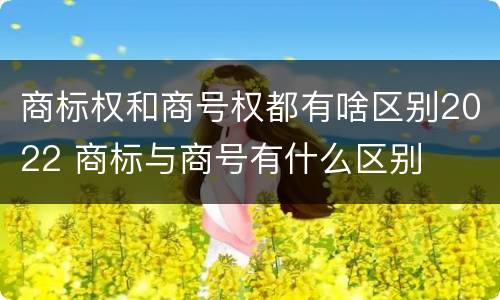 商标权和商号权都有啥区别2022 商标与商号有什么区别