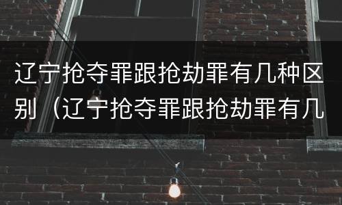 辽宁抢夺罪跟抢劫罪有几种区别（辽宁抢夺罪跟抢劫罪有几种区别呢）