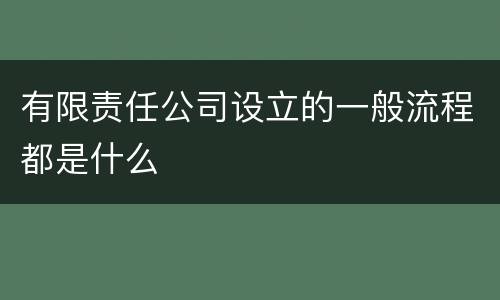 有限责任公司设立的一般流程都是什么