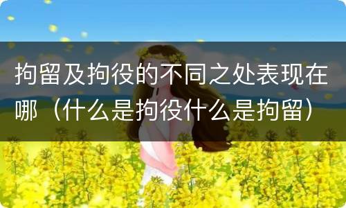 拘留及拘役的不同之处表现在哪（什么是拘役什么是拘留）