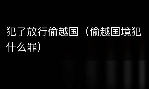 犯了放行偷越国（偷越国境犯什么罪）