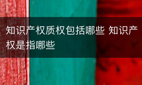 知识产权质权包括哪些 知识产权是指哪些
