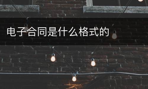 电子合同是什么格式的