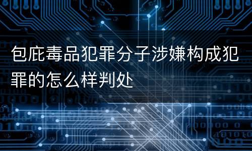 包庇毒品犯罪分子涉嫌构成犯罪的怎么样判处