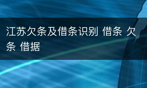 江苏欠条及借条识别 借条 欠条 借据