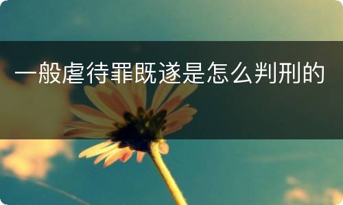 一般虐待罪既遂是怎么判刑的