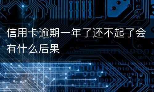 信用卡逾期一年了还不起了会有什么后果