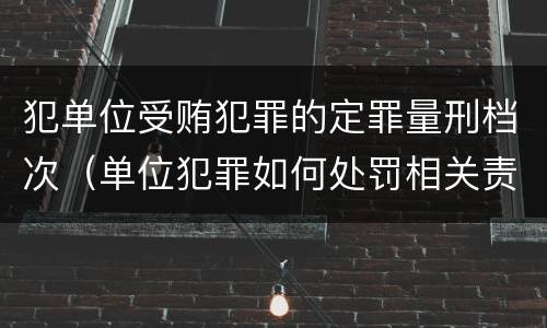 犯单位受贿犯罪的定罪量刑档次（单位犯罪如何处罚相关责任人）