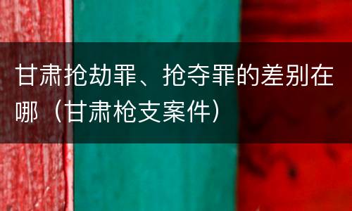 甘肃抢劫罪、抢夺罪的差别在哪（甘肃枪支案件）