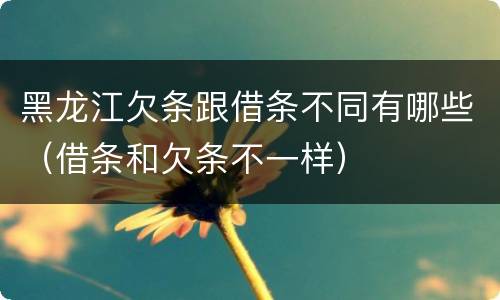 黑龙江欠条跟借条不同有哪些（借条和欠条不一样）