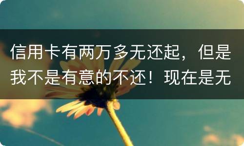 信用卡有两万多无还起，但是我不是有意的不还！现在是无钱还，银行会要怎样样