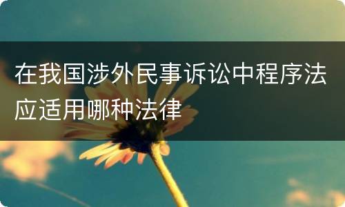 在我国涉外民事诉讼中程序法应适用哪种法律